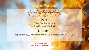 Waqar Faiz Sufi Meditation in DMV area