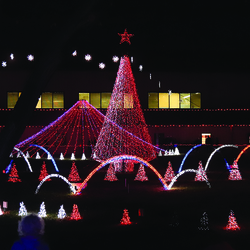 Rhema Christmas Lights