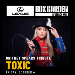 Britney Spears Tribute | Toxic
