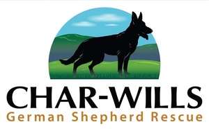 Howl -o-ween Party