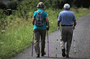 A Day Camp for Adventurous Seniors