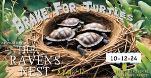 Brake For Turtles LIVE at The Raven's Nest