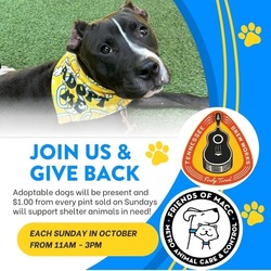 Adoption Events at Tennessee Brew Works!