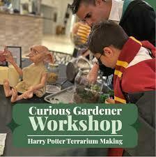 Harry Potter Terrarium Making