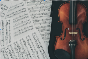 Friends of Music Concerts