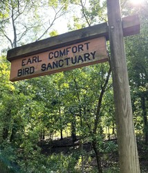A New Display for the J. Earl Comfort Bird Sanctuary