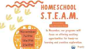 Homeschool STEAM With Ms. Carol