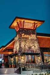 Hurricane Relief Fundraiser at Lazy Dog Restaurants