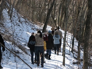 Marshmallow Hikes at Owl's Hill