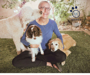 Woofie's® of North and East Tucson to celebrate grand opening during VailFest