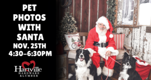 Pet Photos with Santa