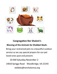 Blessing of our animals for Shabbat Noah