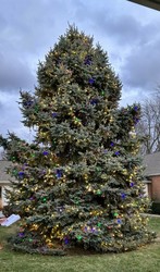Outdoor Christmas Tree Lighting, Sunday, Dec. 8, 5 PM
