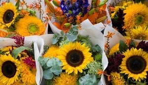 Aptos Farmers Market at Cabrillo College