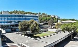 Technion Institue for Healthy Aging Presents Palm Beach Event featuring Prof. Shai Shen Orr