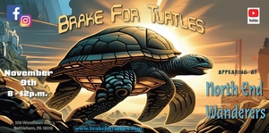 Brake For Turtles LIVE at The North End Wanderers club