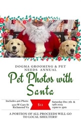 Pet photos with Santa