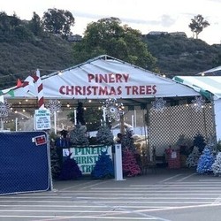MISSION VALLEY TO HOST PINERY CHRISTMAS TREE LOT THIS HOLIDAY SEASON