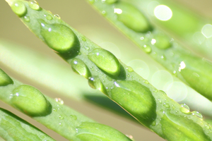 Beginnings 2024: Juried High School Photography at Kooyumjian Gallery