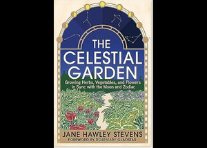 Monday Enrichment Program - Science: Enhanced Wellbeing