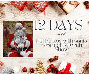 Pet photos with santa