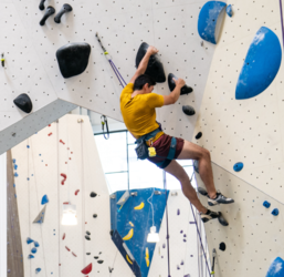 Health and Wellness Event