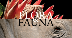 Opening Celebration: David Aschkenas - Flora & Fauna (Feat. Billy Price) (Art Exhibition)