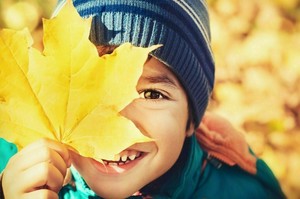 Nature Book and Look