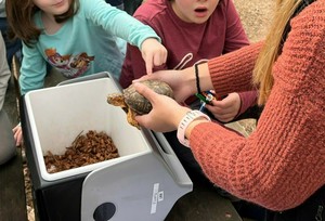 Animal Ambassador Meet n' Greet