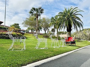 Christmas Grand Brunch Buffet