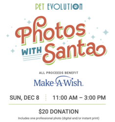 Pet Photos With Santa At Pet Evolution