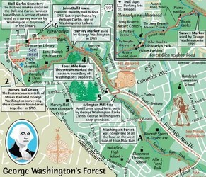 George Washington’s Forest Guided History Walk: 250th Commemoration