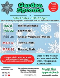 Garden Sprouts: Winter Skeletons