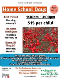 Home School Days: Brrr! It's Cold