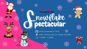 Suzy Foundation Snowflake Spectacular!