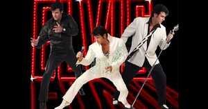 Chris MacDonald's Memories of Elvis Rockin' Birthday Bash