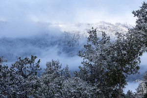 Boulder Creek Winter Festival