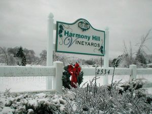 Snow On The Vine Holiday Sampling