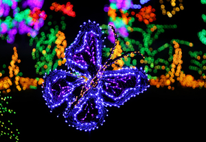 Garden d’Lights 2024