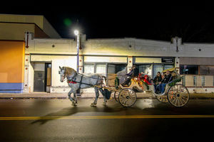Southwest Detroit Holiday Fest