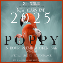 Poppy Nightclub NYE 2025