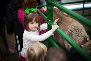 Santa & His Reindeer at Bel Air Plaza