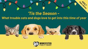 ‘Tis the Season- What trouble cats & dogs love to get into this time of year