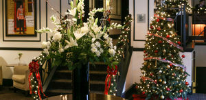 Cocktails & Cuisine Class: Merry Mixology