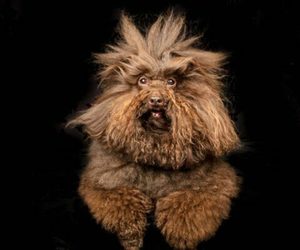 Public Barket at Public Market