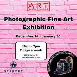 Art Scene West Photographic Fine Art Opening Reception