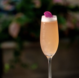 Disco Funk New Year's Eve at The Garden Room