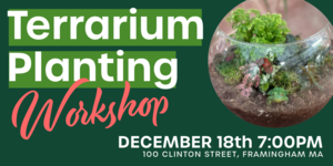 Terrarium Planting Workshop at Jack's Abby