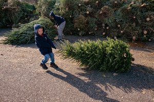 Virginia Aquarium's Tree-cycling