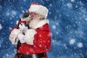 Santa Paws is coming to Joybound!